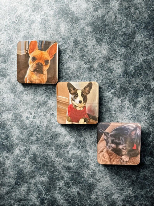 Three square coasters with dog photos on a textured gray surface